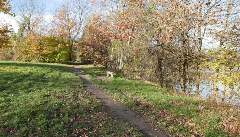 Park Średzki we Wrocławiu
