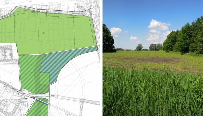 Z lewej strony obrazka fragment planu zagospodarowania przestrzennego, a z prawej zielony południowy klin