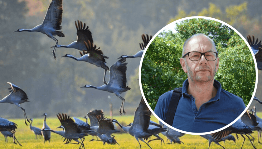 Kolaż 2 zdjęć: prof. dr hab. Cezar Mitrus z Instytutu Biologii Uniwersytetu Przyrodniczego we Wrocławiu, a w tle żurawie