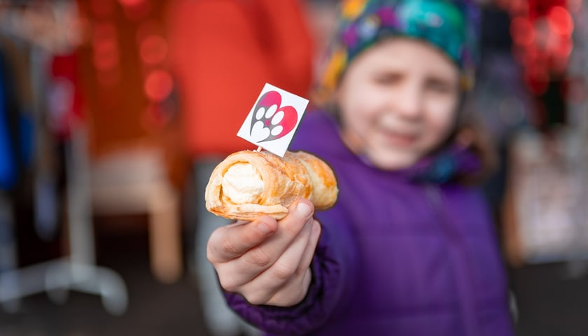 Walentynki dla zwierząt w  Schronisku dla Bezdomnych Zwierząt we Wrocławiu