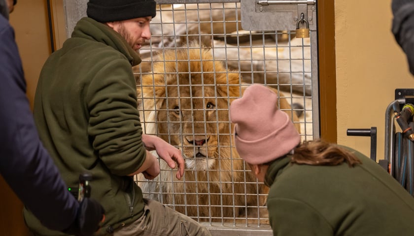 Ewelina Kliś dzięki wygranej aukcji na rzecz WOŚP spędziła dzień we wrocławskim zoo