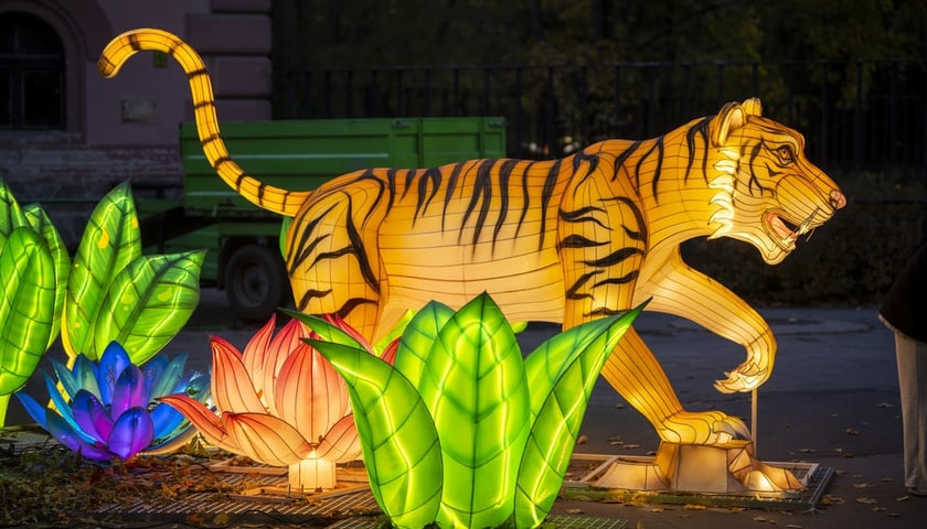 Garden of Lights – Dzika Azja