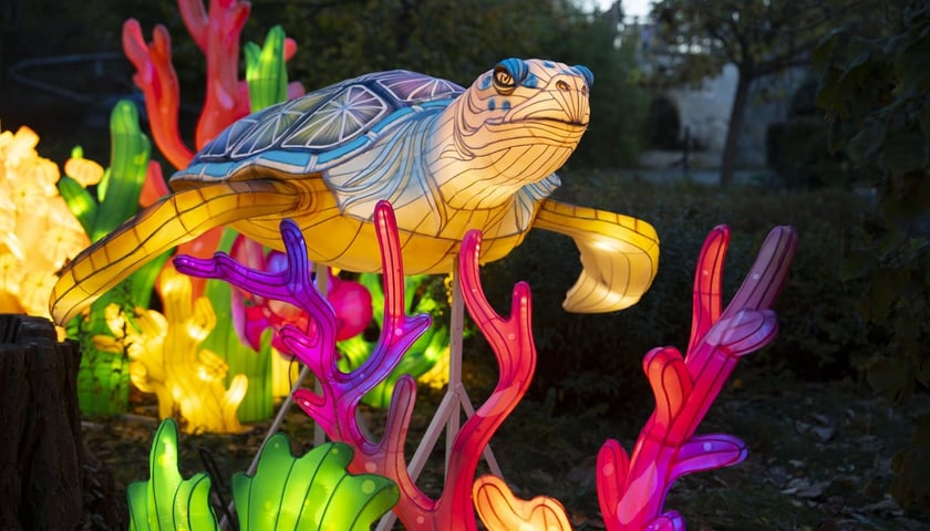 Wystawa „Garden of Lights – Dzika Azja” Lampion przedstawiający żółwia morskiego