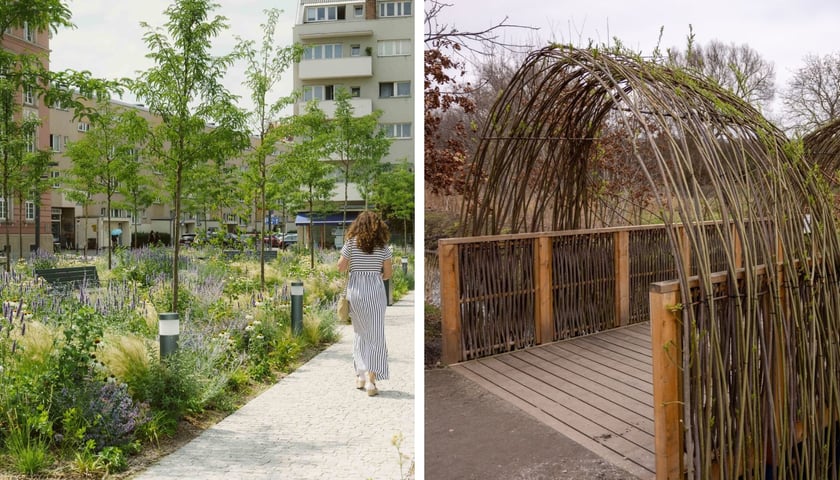 Na lewym zdjęciu widać plac Nowy targ, a na prawym park Krzycki 