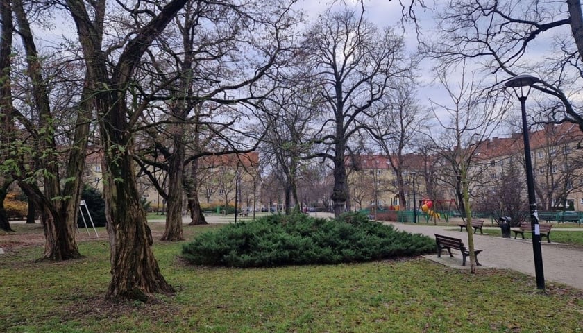 Projekt Urbio Bauhaus we Wrocławiu