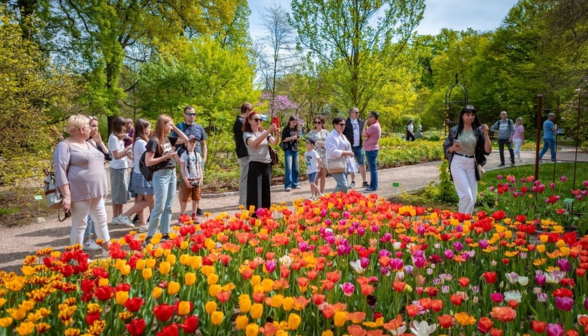 Spacerowicze Ogrodu Botanicznego - 21.04.2025