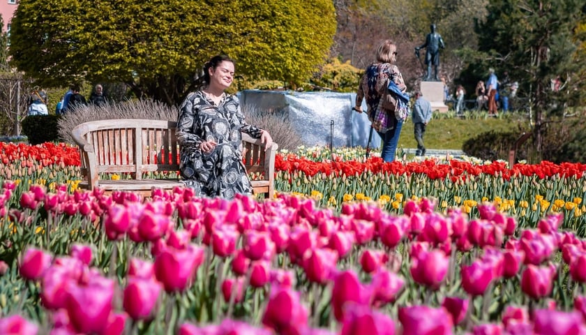 Festiwal Tulipanów w Ogrodzie Botanicznym 2024