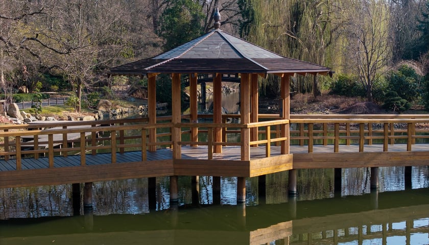 <p>Ogr&oacute;d Japoński otwiera się dla zwiedzających na wiosnę 1 kwietnia</p>