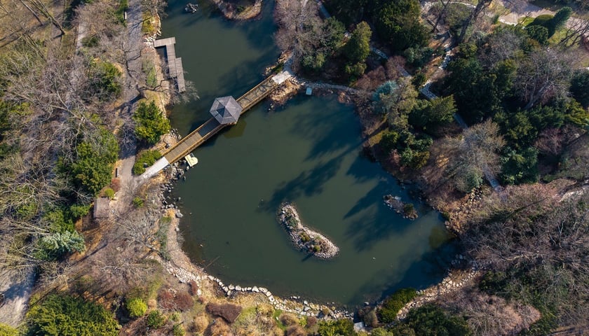 <p>Ogr&oacute;d Japoński otwiera się dla zwiedzających na wiosnę 1 kwietnia</p>