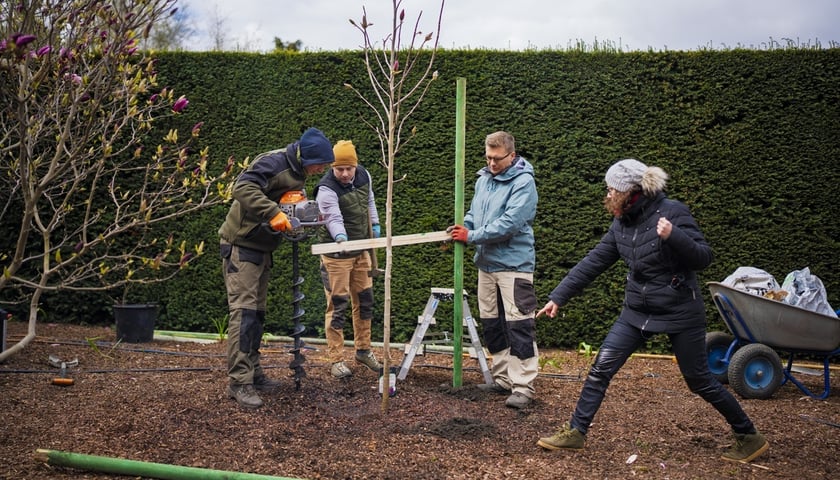 Festiwal Magnolii w Ogrodzie Botanicznym