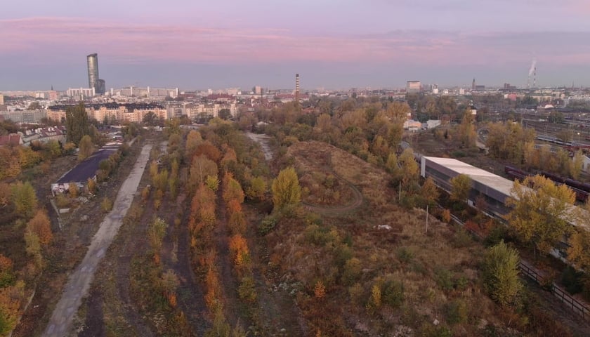 Park Henrykowski miałby powstać w rejonie ulic: Prudnickiej, Paczkowskiej, Henrykowskiej i Jesionowej (na zdjęciu ten teren z lotu ptaka)
