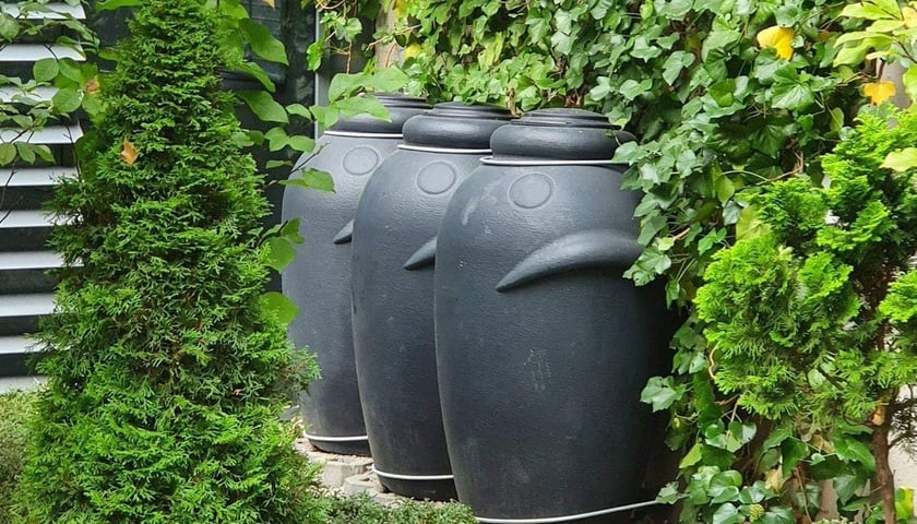 <p>Pojemniki na deszcz&oacute;wkę</p>