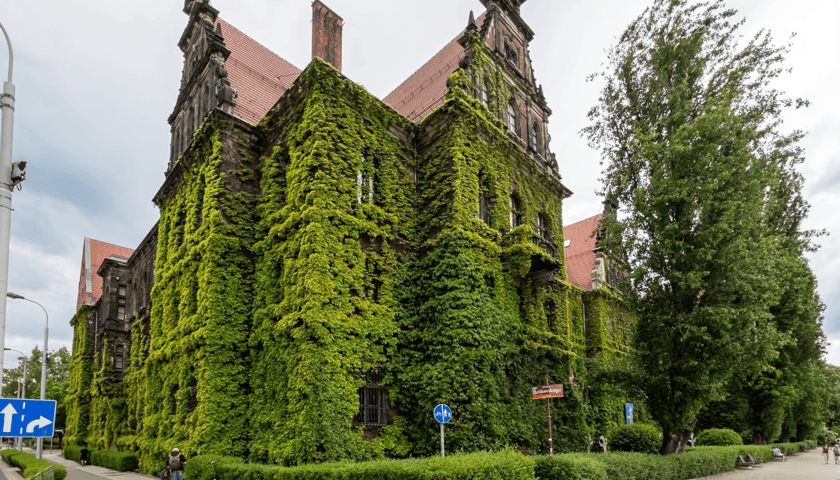 Zielona ściana na Muzeum Narodowym we Wrocławiu