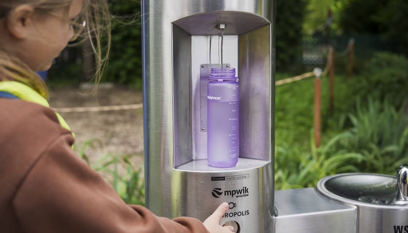Z okazji Światowego Dnia Żółwia wrocławskie Hydropolis i ZOO Wrocław ogłosiły partnerstwo na rzecz środowiska i zagrożonych gatunków.