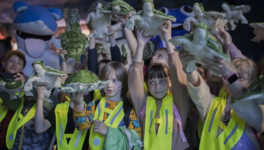 Z okazji Światowego Dnia Żółwia wrocławskie Hydropolis i ZOO Wrocław ogłosiły partnerstwo na rzecz środowiska i zagrożonych gatunków.