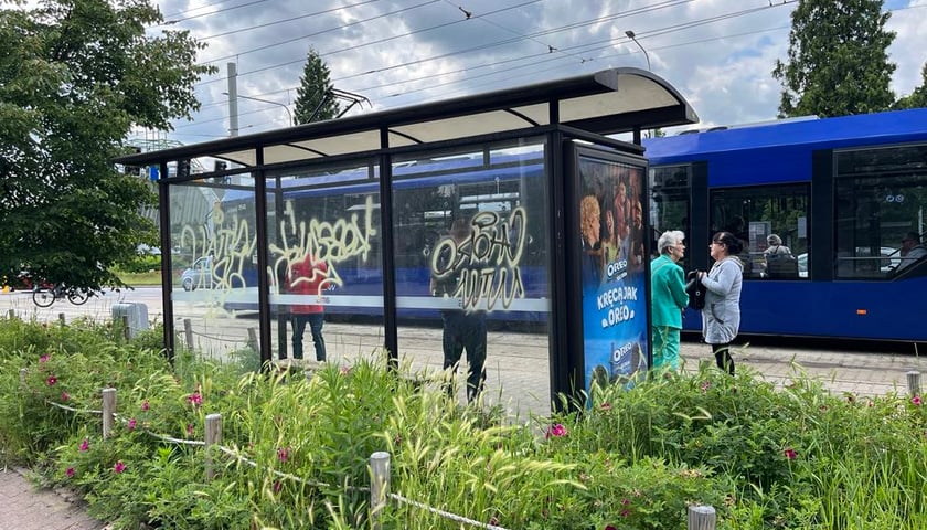 Zielony przystanek we Wrocławiu