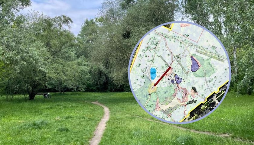 Duże zdjęcie: widok na park przy ul. Idzikowskiego. W kółku fragment planu parku  