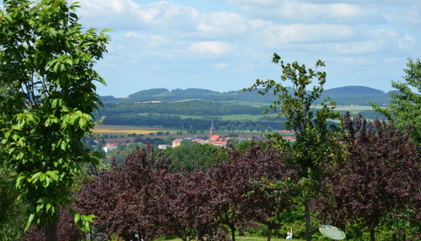Arboretum Wojsławice, czerwiec 2025