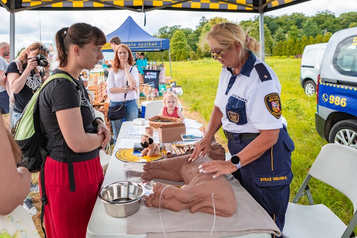 Piknik z okazji Dnia Psa we wrocławskim Schronisku dla Bezdomnych Zwierząt przy ul. Ślazowej, 29 czerwca 2025