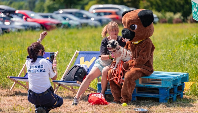 Piknik z okazji Dnia Psa we wrocławskim Schronisku dla Bezdomnych Zwierząt przy ul. Ślazowej, 29 czerwca 2025.  Na zdjęciu pamiątkowa sesja z psem i wielką maskotką