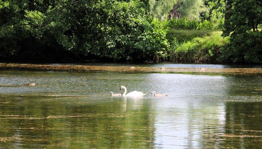 Łowisko Park Glinianki we Wrocławiu