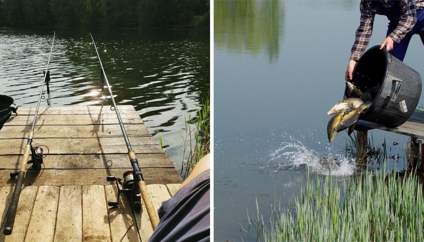 Łowisko Park Glinianki we Wrocławiu, kolaż dwóch zdjęć