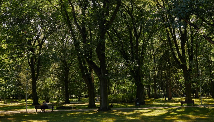 Park Zachodni we Wrocławiu