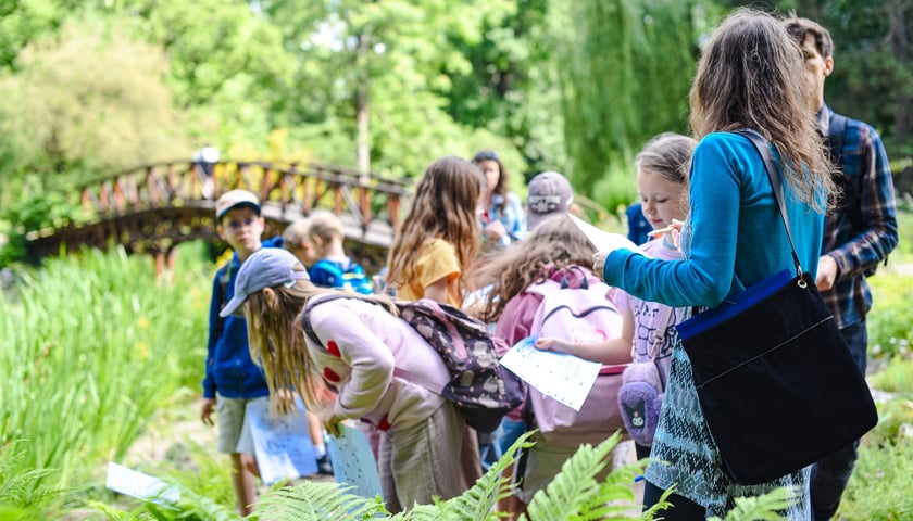Wrocławska Akademia Młodego Ekologa - warsztaty w Ogrodzie Botanicznym