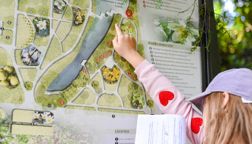 Wrocławska Akademia Młodego Ekologa - warsztaty w Ogrodzie Botanicznym