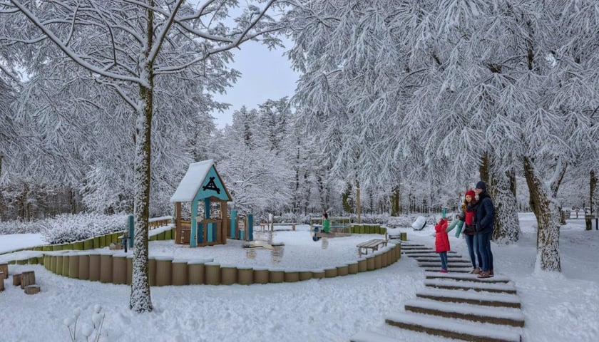 <p>Skwer między ulicami ul. Długosza a al. Kromera na osiedlu Karłowice-R&oacute;żanka, wizualizacja</p>