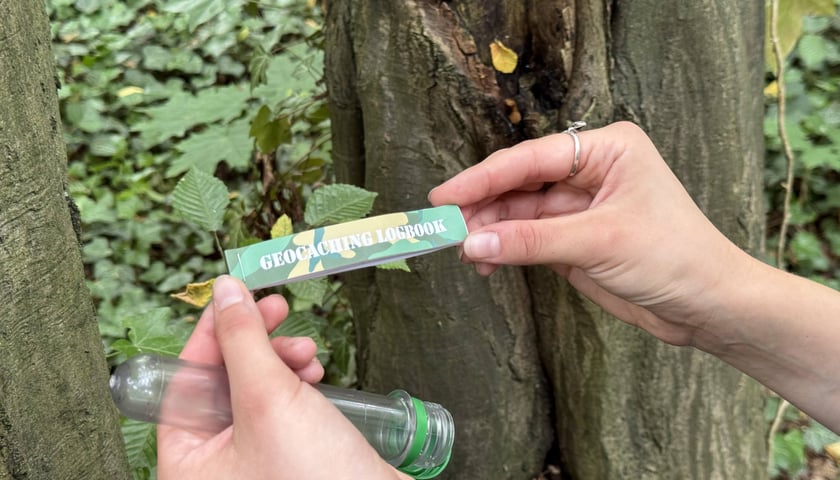 Gra Geocaching w jednym z wrocławskich parków