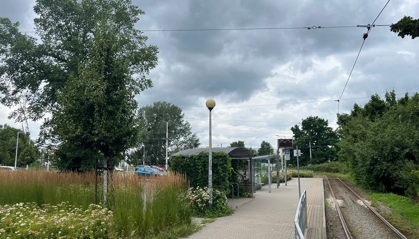 Zielone przystanki we Wrocławiu