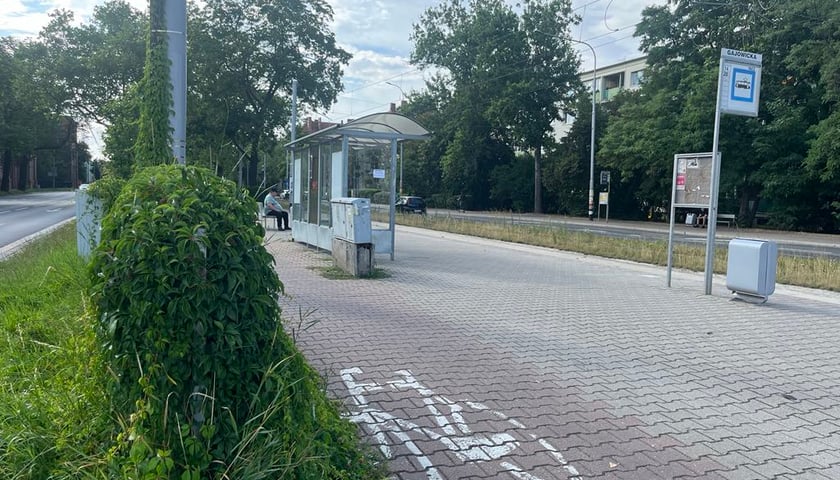 Zielone przystanki we Wrocławiu