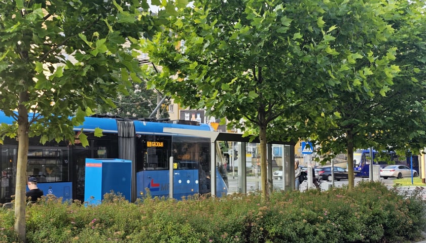 Jeden z wielu zielonych przystanków we Wrocławiu
