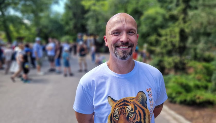 <p>Pierwsze urodziny tygrys&oacute;w-czworaczk&oacute;w z wrocławskiego zoo. Na zdjęciu opiekun tygrys&oacute;w Kamil Guzik.</p>
