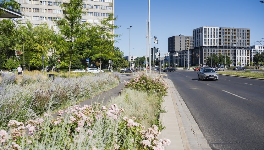 Zielono-niebieska infrastruktura - Legnicka/Poznańska (skrzyżowanie)