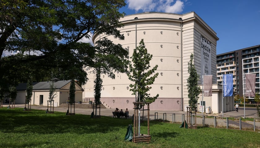 Młode drzewa posadzone w listopadzie 2022 r. przy Muzeum Współczesnym, przy okazji sadzenia drzew przy ul. Legnickiej, w lecie 2025 r. są coraz wyższe