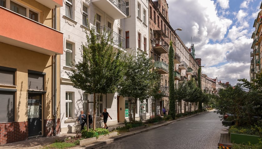 Drzewa posadzone przy ul. Daszyńskiego mocno zmieniły jej charakter. Wcześniej nie rosły tu żadne rośliny.