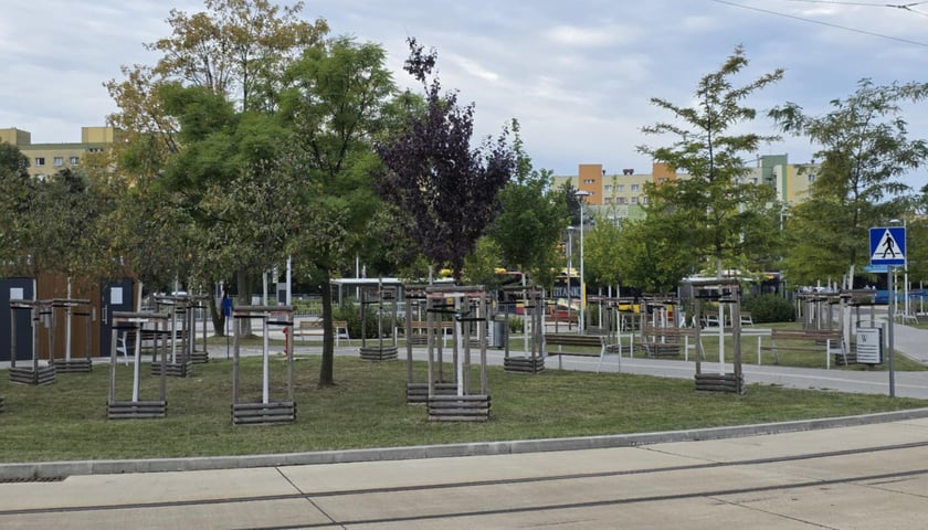 Pętla tramwajowa na Nowym Dworze. Dużo betonu, potrzebnego pod tory tramwajowe i dużo zieleni, a wśród nich młode drzewa.