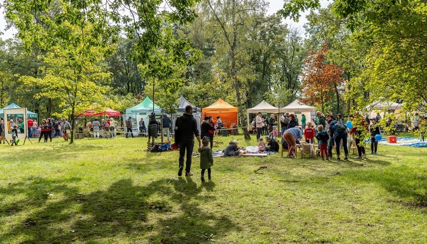 Piknik z Zielonym Wrocławiem. Na zdjęciu zabawa w parku. Zdjęcie archiwalne