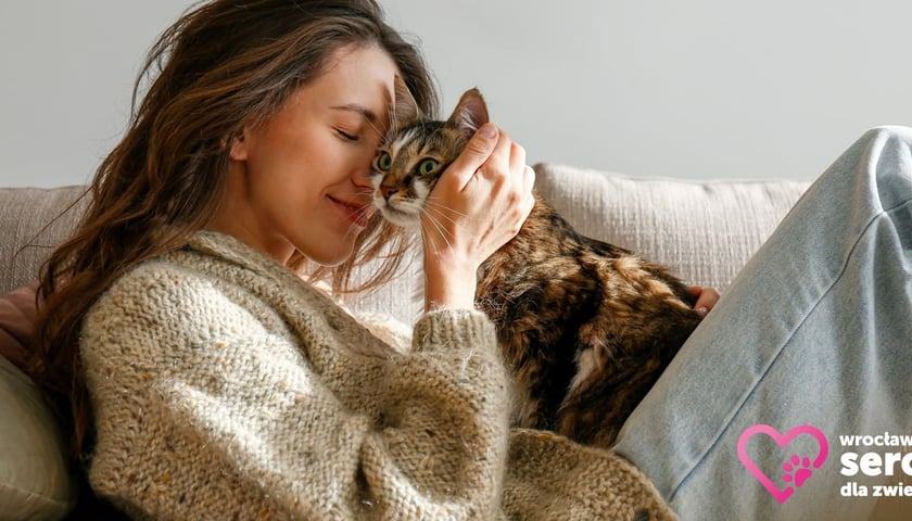 Kobieta przytulająca kota (zdjęcie ilustracyjne), logo miejskiego odznaczenia