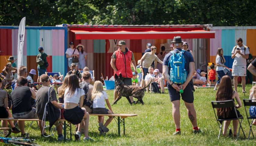 Piknik z Grupą Ratuj w parku Grabiszyńskim, zdjęcie archiwalne z czerwca 2025