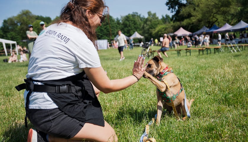 Piknik z Grupą Ratuj w parku Grabiszyńskim, zdjęcie archiwalne z czerwca 2025