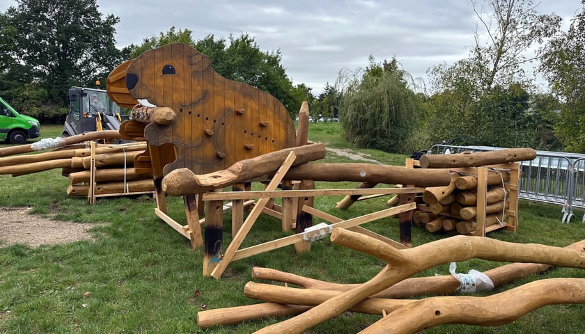 Plac zabaw z drewnianą ścianką wspinaczkową dla dzieci w kształcie bobra. Rozbudowa placu zabaw przy stawie na Maślicach.