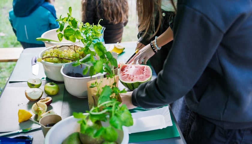 Międzypokoleniowy piknik ekologiczny w Ogrodzie Staromiejskim we Wrocławiu