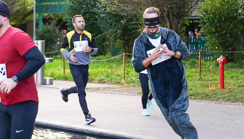 Wild Run 2025