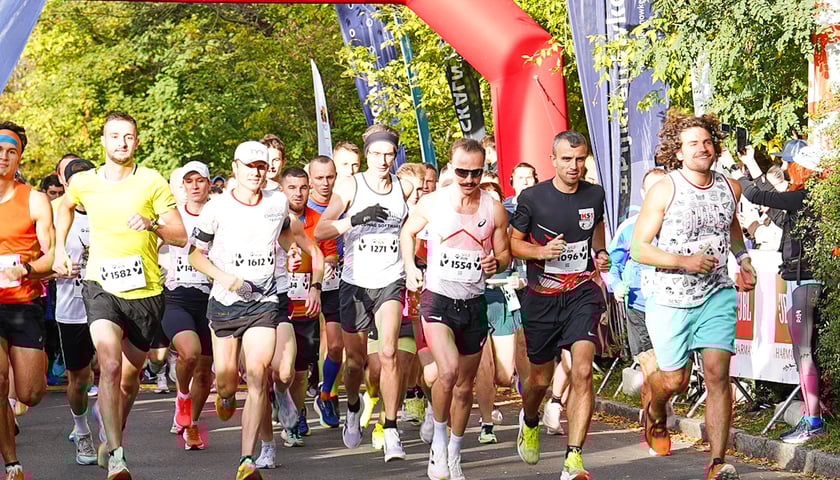 Wild Run 2025