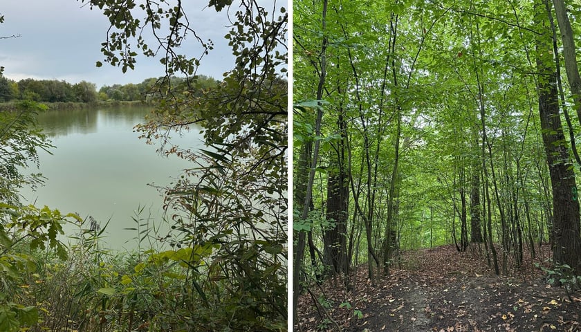 Po lewej: park Pilczycki, po prawe: park przy ul. Rumiankowej