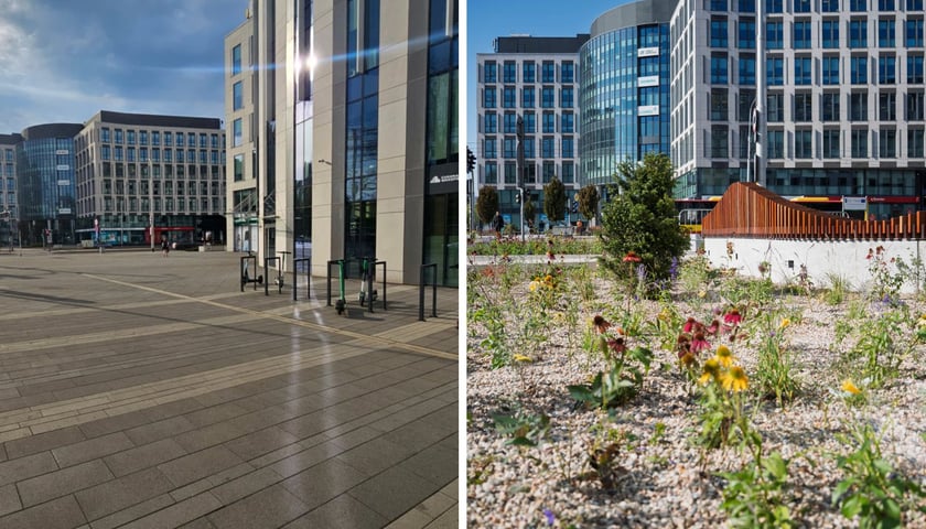 Zdjęcie dzielone na pół: po lewej kamienno-betonowy chodnik na ul. Suchej, po prawej ten sam obszar po przekształceniu w skwer z roślinami i ławkami.