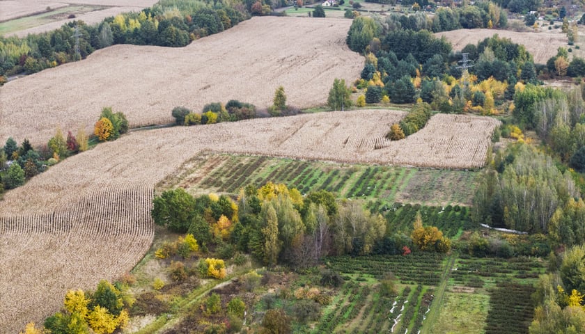 Teren przyszłego parku Wojnowskiego, widok z drona.